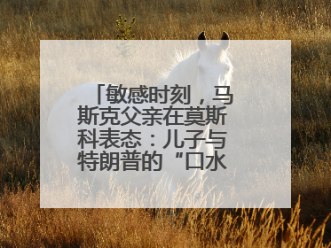 敏感时刻，马斯克父亲在莫斯科表态：儿子与特朗普的“口水仗”是个错误