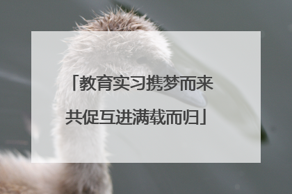 教育实习携梦而来 共促互进满载而归