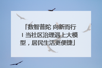 数智普陀 向新而行〡当社区治理遇上大模型，居民生活更便捷