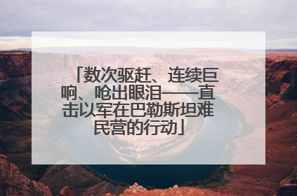 数次驱赶、连续巨响、呛出眼泪——直击以军在巴勒斯坦难民营的行动