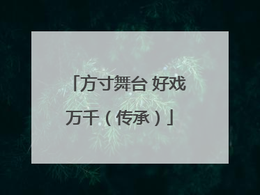 方寸舞台 好戏万千（传承）