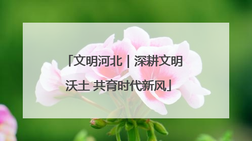 文明河北｜深耕文明沃土 共育时代新风
