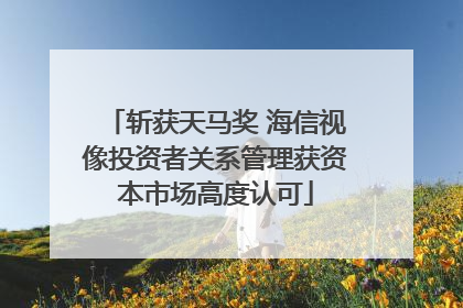 斩获天马奖 海信视像投资者关系管理获资本市场高度认可