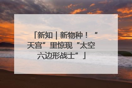 新知｜新物种！“天宫”里惊现“太空六边形战士”