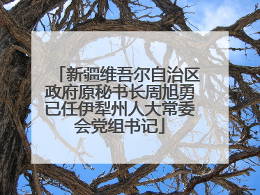 新疆维吾尔自治区政府原秘书长周旭勇已任伊犁州人大常委会党组书记