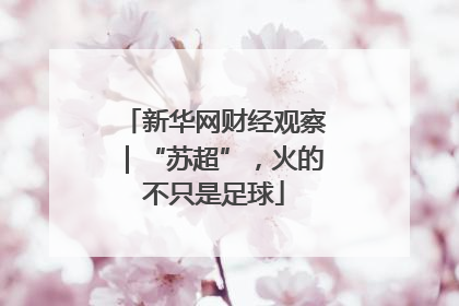新华网财经观察｜“苏超”，火的不只是足球