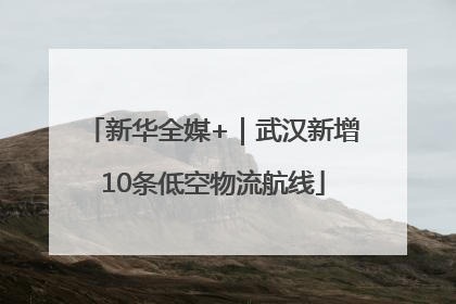 新华全媒+｜武汉新增10条低空物流航线