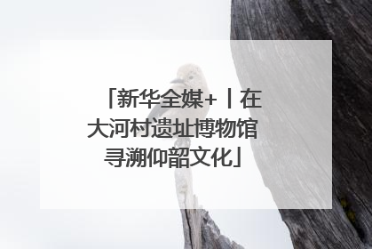 新华全媒+丨在大河村遗址博物馆寻溯仰韶文化
