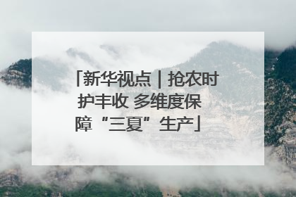 新华视点｜抢农时 护丰收 多维度保障“三夏”生产