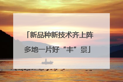 新品种新技术齐上阵 多地一片好“丰”景