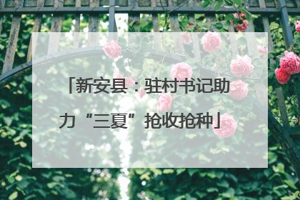 新安县：驻村书记助力“三夏”抢收抢种