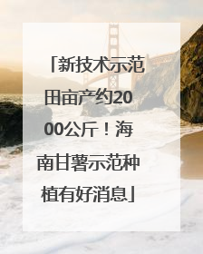 新技术示范田亩产约2000公斤！海南甘薯示范种植有好消息