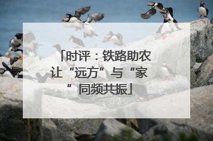 时评：铁路助农让“远方”与“家”同频共振