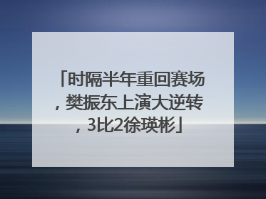 时隔半年重回赛场，樊振东上演大逆转，3比2徐瑛彬