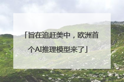 旨在追赶美中，欧洲首个AI推理模型来了