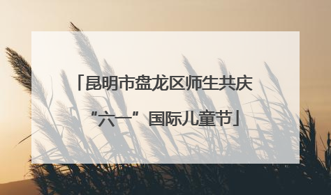 昆明市盘龙区师生共庆“六一”国际儿童节