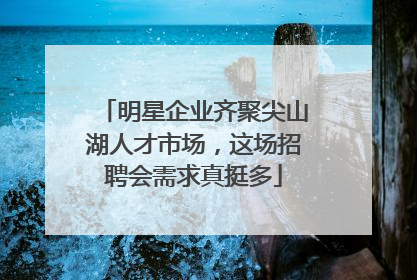 明星企业齐聚尖山湖人才市场，这场招聘会需求真挺多