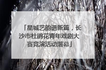 星城艺韵谱新篇，长沙市杜鹃花青年戏剧大赛竞演活动落幕