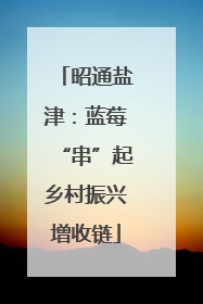 昭通盐津：蓝莓“串”起乡村振兴增收链