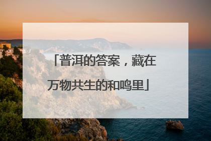 普洱的答案，藏在万物共生的和鸣里