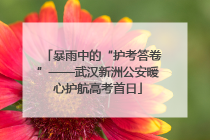 暴雨中的“护考答卷”——武汉新洲公安暖心护航高考首日