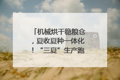 机械烘干稳粮仓，夏收夏种一体化！“三夏”生产跑出加速度｜麦报
