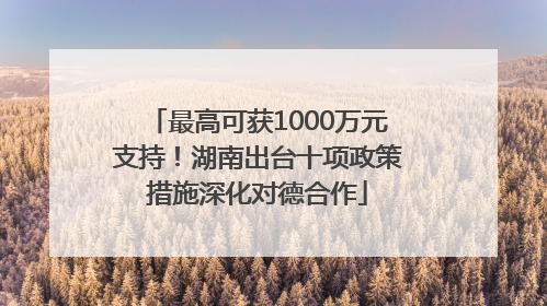 最高可获1000万元支持！湖南出台十项政策措施深化对德合作