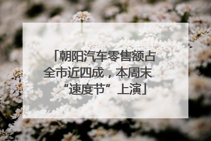 朝阳汽车零售额占全市近四成，本周末“速度节”上演