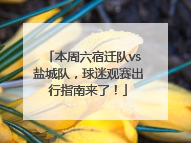 本周六宿迁队vs盐城队，球迷观赛出行指南来了！