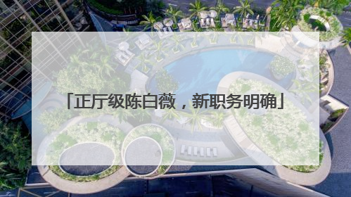 正厅级陈白薇，新职务明确