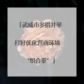 武威市多措并举打好优化营商环境“组合拳”