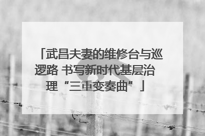 武昌夫妻的维修台与巡逻路 书写新时代基层治理“三重变奏曲”