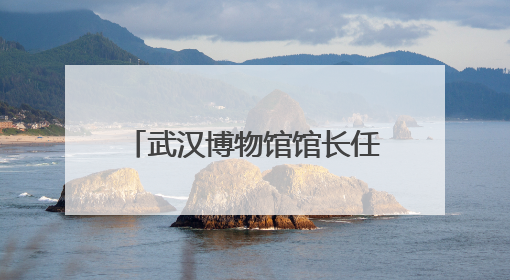 武汉博物馆馆长任晓飞：从武汉出土文物看千年江城变迁
