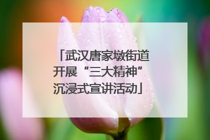 武汉唐家墩街道开展“三大精神”沉浸式宣讲活动