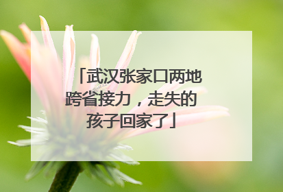 武汉张家口两地跨省接力，走失的孩子回家了