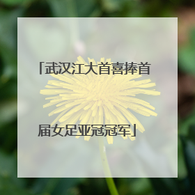 武汉江大首喜捧首届女足亚冠冠军