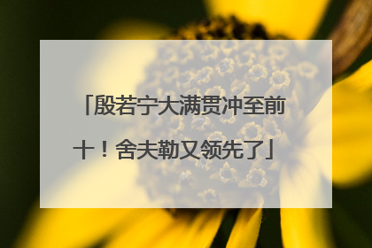 殷若宁大满贯冲至前十！舍夫勒又领先了