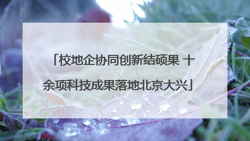 校地企协同创新结硕果 十余项科技成果落地北京大兴
