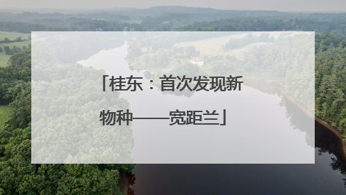 桂东：首次发现新物种——宽距兰