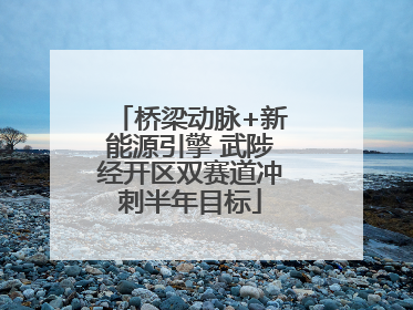桥梁动脉+新能源引擎 武陟经开区双赛道冲刺半年目标