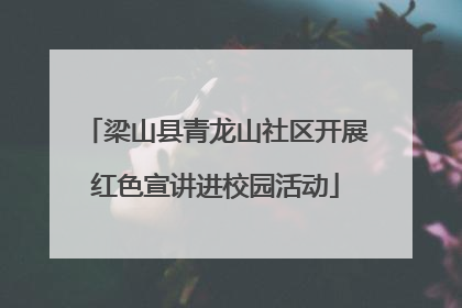 梁山县青龙山社区开展红色宣讲进校园活动