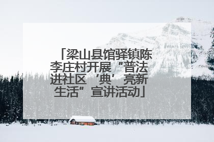 梁山县馆驿镇陈李庄村开展“普法进社区‘典’亮新生活”宣讲活动
