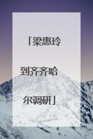梁惠玲到齐齐哈尔调研