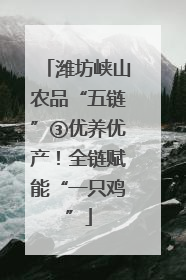 潍坊峡山农品“五链”③优养优产！全链赋能“一只鸡”