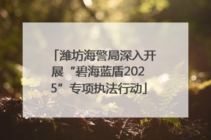 潍坊海警局深入开展“碧海蓝盾2025”专项执法行动