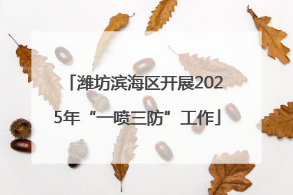 潍坊滨海区开展2025年“一喷三防”工作