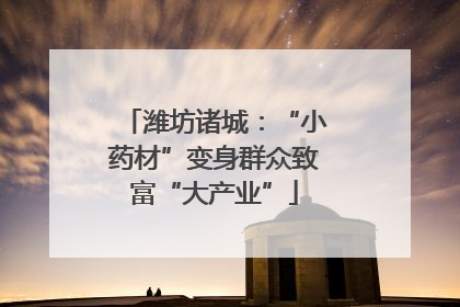 潍坊诸城：“小药材”变身群众致富“大产业”