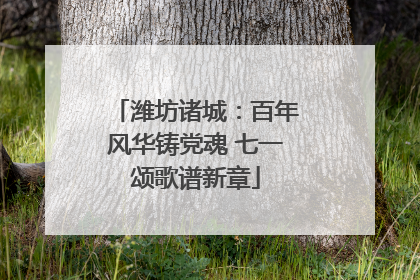 潍坊诸城：百年风华铸党魂 七一颂歌谱新章