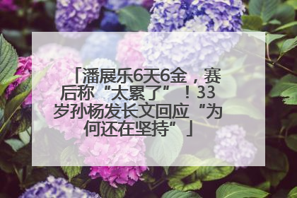 潘展乐6天6金，赛后称“太累了”！33岁孙杨发长文回应“为何还在坚持”