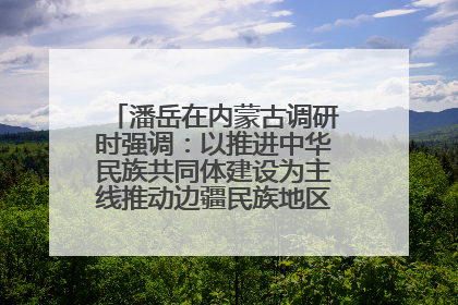潘岳在内蒙古调研时强调：以推进中华民族共同体建设为主线推动边疆民族地区高质量发展